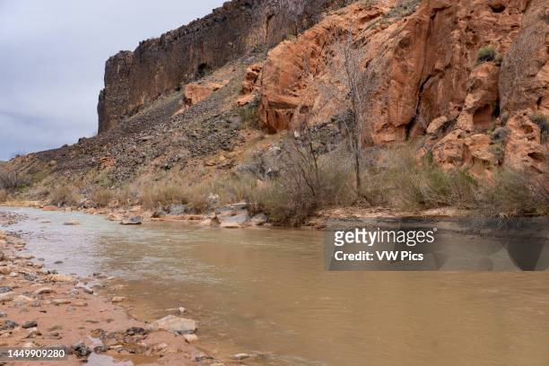 Eroded sandstone and cobble along the Virgin River in southern Utah.