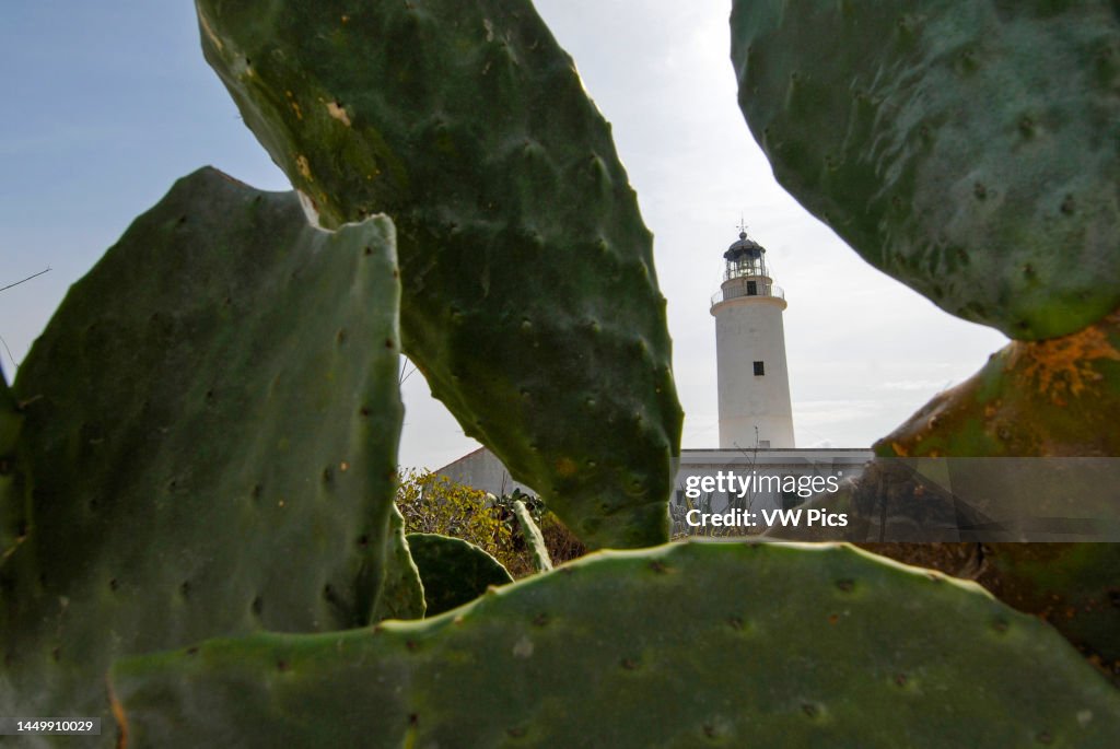 La Mola Lighthouse In Formentera