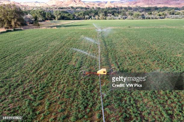 Aerial view of a wheel line or sideroll irrigation system watering a field of alfalfa hay near Moab, Utah.
