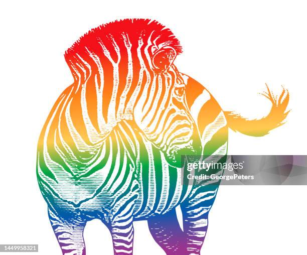 zebra - zebramuster stock-grafiken, -clipart, -cartoons und -symbole