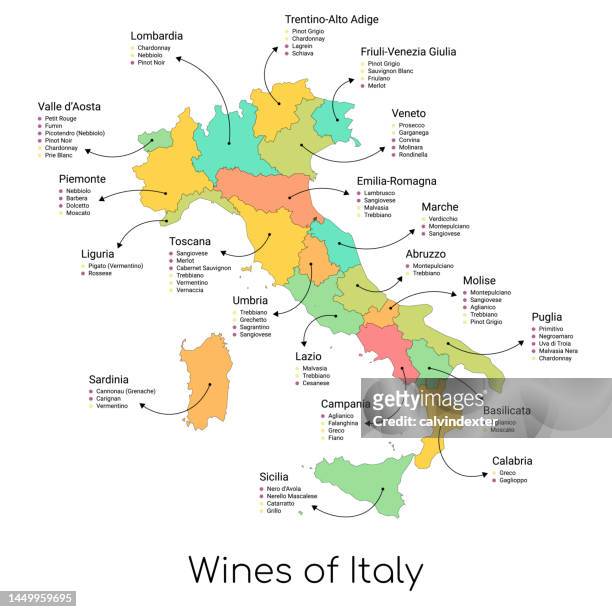 karte der weine italiens und seiner regionen - rote traube stock-grafiken, -clipart, -cartoons und -symbole