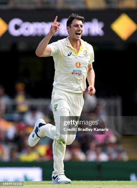 Pat Cummins of Australia celebrates taking the wicket of Anrich Nortje of South Africa during day two of the First Test match between Australia and...