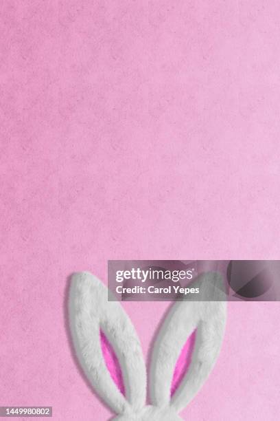 happy easter! rabbit ears - egg white background stock-fotos und bilder