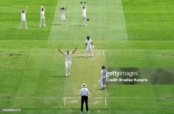 Scott Boland of Australia appeals to the umpire but is unsuccessful during day two of the First Test match between Australia and South Africa at The...