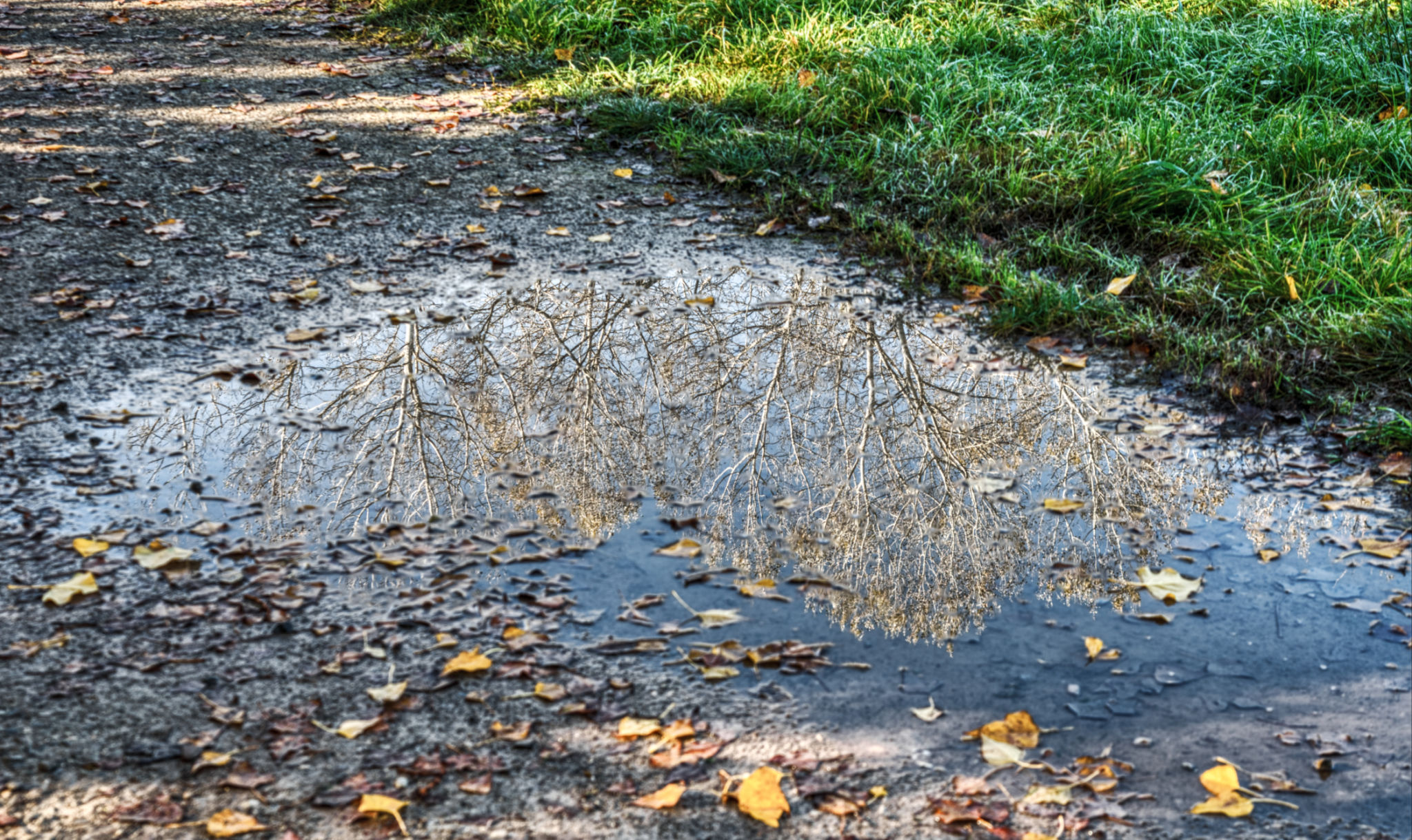 nature walk reflection