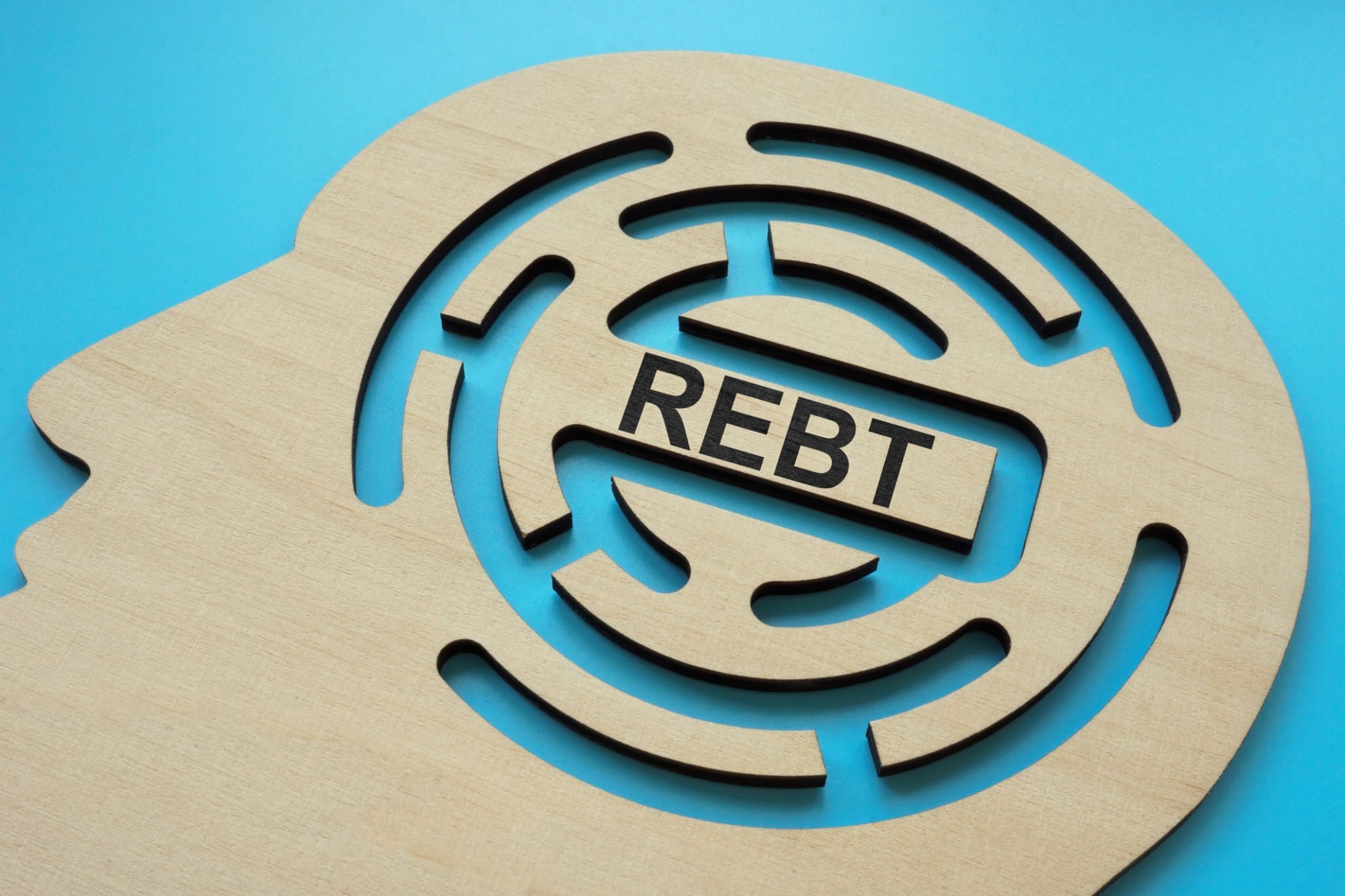 Head with labyrinth and inscription REBT Rational Emotive Behavior Therapy. Head with labyrinth and inscription REBT Rational Emotive Behavior Therapy.