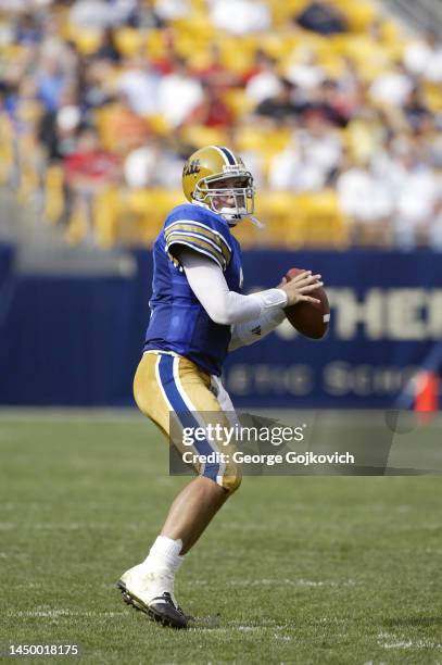 Quarterback Tyler Palko of the University of Pittsburgh Panthers looks to pass during a college football game against the Youngstown State Penguins...
