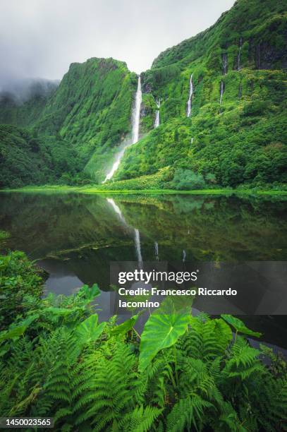 poco da ribeira do ferreiro waterfalls on flores island, azores. awesome forest and falls - iacomino portugal stock-fotos und bilder