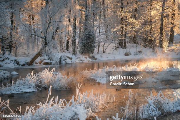 morning by a frozen river in winter - frozen water stock-fotos und bilder