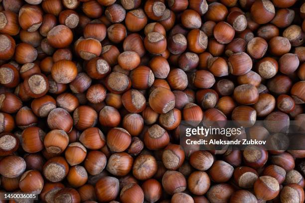 hazelnut. background of nuts. food background. healthy organic food, bio-products, without gmos. the concept of vegetarian, vegan and raw food. back to nature. farm agricultural products. from farm to table. vegetable protein. healthy fats. - walnut farm stock pictures, royalty-free photos & images