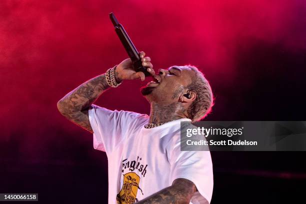 Singer Chris Brown performs onstage during the 1st annual In My Feelz Festival presented by Umbrella MGMT at Banc of California Stadium on December...