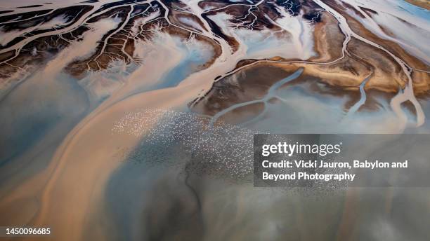 delta patterns in aerial view of flamingo over lake natron, kenya - rift valley stock pictures, royalty-free photos & images