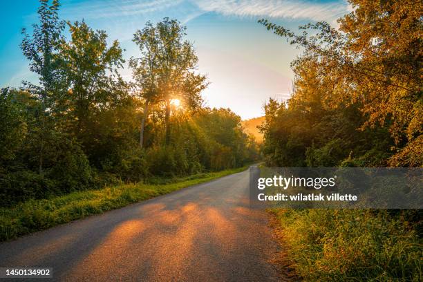 evening light with fog in summer - paysage france foret photos et images de collection