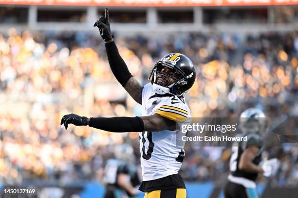 Cameron Sutton of the Pittsburgh Steelers reacts after a sack during the fourth quarter of the game against the Carolina Panthers at Bank of America...