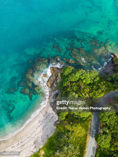 taking the scenic route. - ilha do norte da nova zelândia imagens e fotografias de stock