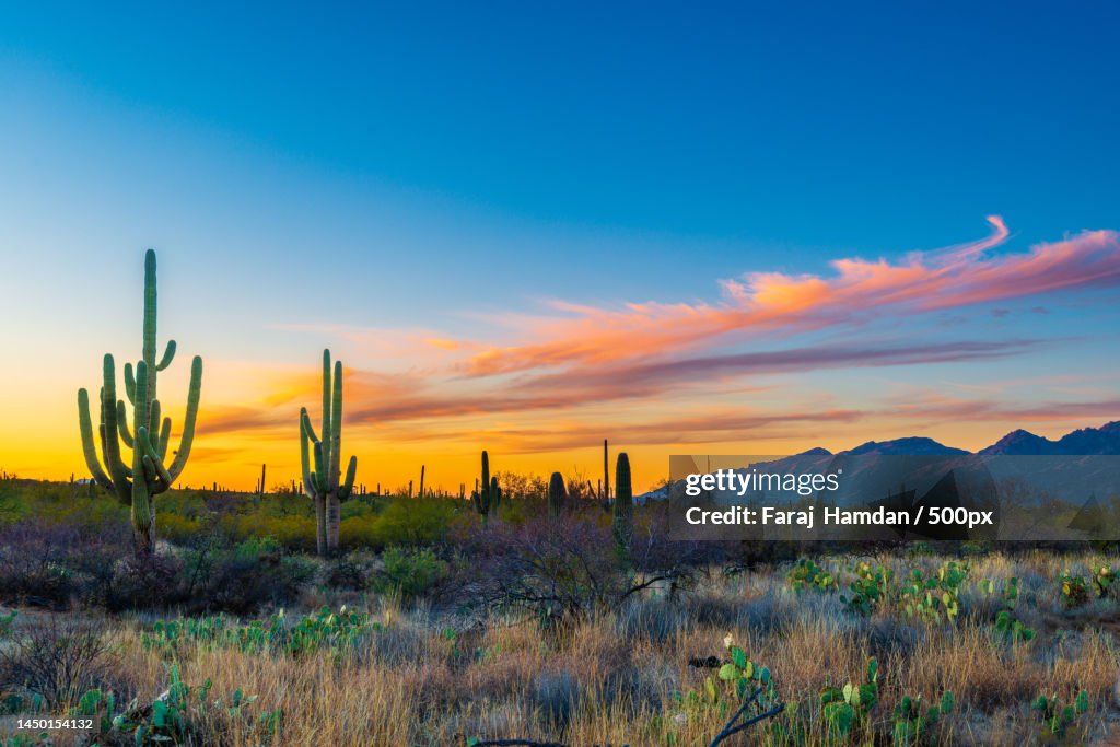 Scenic view of field against sky during sunset,Tucson,Arizona,United States,USA