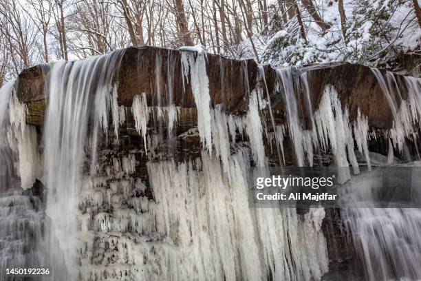 icicles in nature - icicle macro stock pictures, royalty-free photos & images