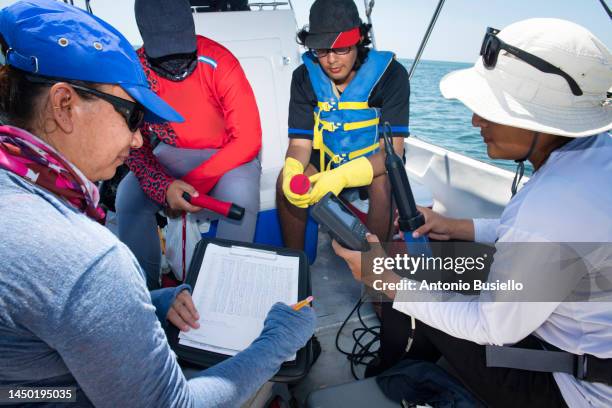 marine biologists team collecting data for water quality test - marine biologist stock pictures, royalty-free photos & images