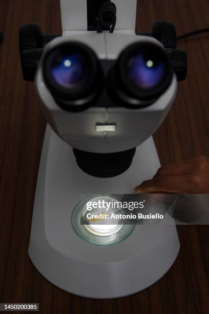 615 Microscope Top View Stock Photos, High-Res Pictures, and Images ...