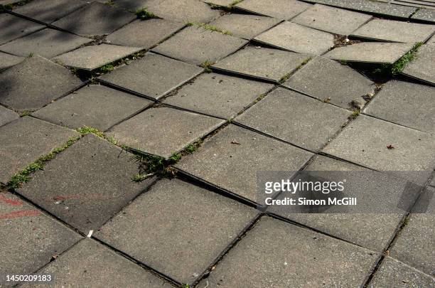 dangerously uneven gray concrete paving tiles on a city sidewalk - uneben stock-fotos und bilder