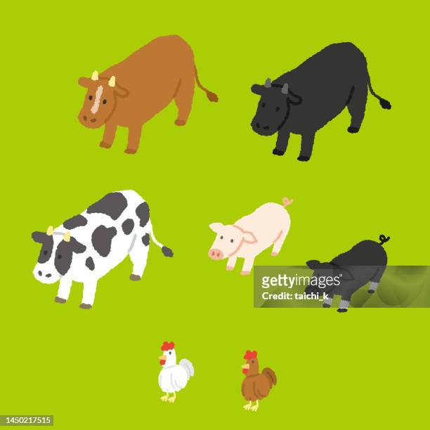 ilustraciones, imágenes clip art, dibujos animados e iconos de stock de vacas, cerdos y pollos. ganado. - k ranch