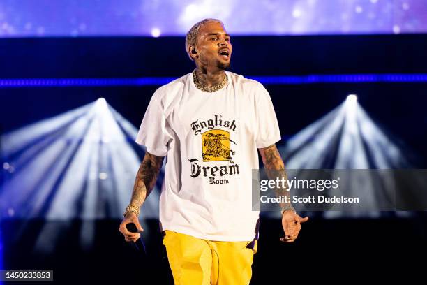 Singer Chris Brown performs onstage during the 1st annual In My Feelz Festival presented by Umbrella MGMT at Banc of California Stadium on December...