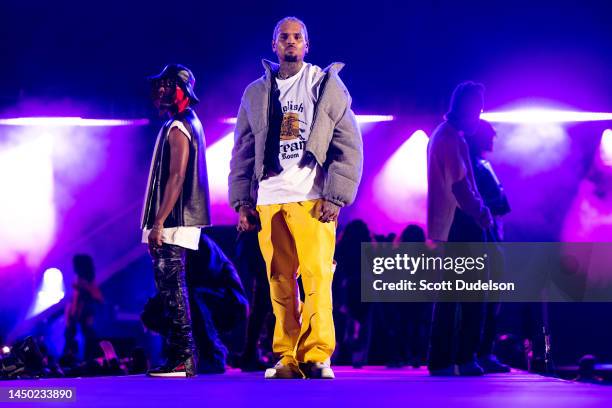 Singer Chris Brown performs onstage during the 1st annual In My Feelz Festival presented by Umbrella MGMT at Banc of California Stadium on December...