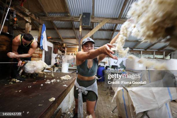 Rousie Agnes Motu sorts wool during shearing at the Springcreek Properties farm on December 17, 2022 in Kaipara Hills, New Zealand. The Dill family's...