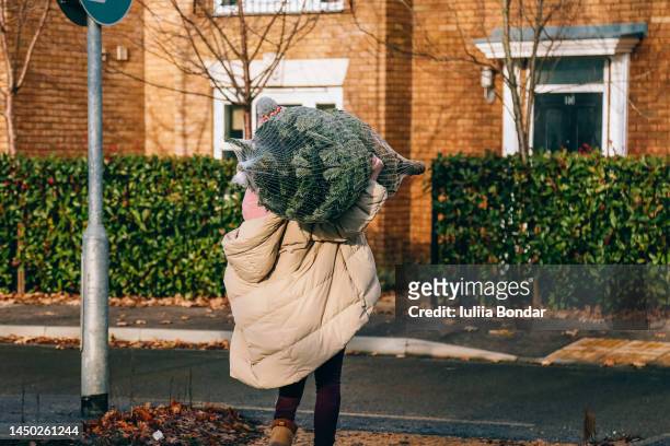 young woman carries christmas tree on a street - christmas shopping stock pictures, royalty-free photos & images