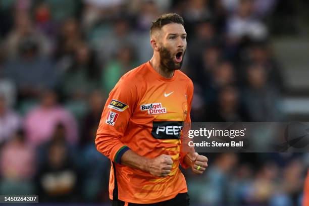 Andrew Tye of the Scorchers celebrates the wicket of D'Arcy Short of the Hurricanes during the Men's Big Bash League match between the Hobart...