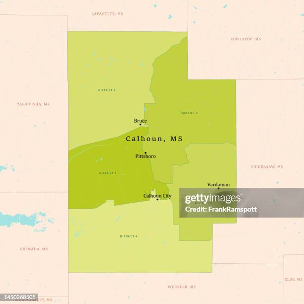 ms calhoun county vector map green - lake calhoun stock illustrations