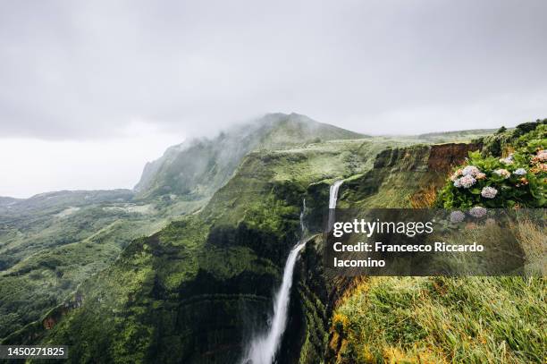 waterfall into the green wild landscape - flores stock-fotos und bilder