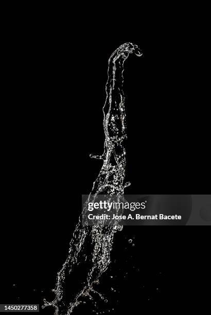 splashes and drops of milk on a black background. - chorro agua fotografías e imágenes de stock