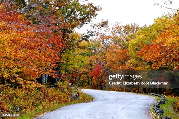 beckoning road - elizabeth root blackmer stock pictures, royalty-free photos & images