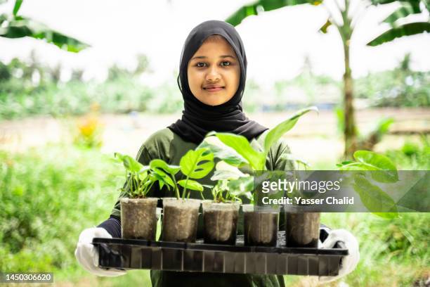 portrait of teenage girl with various tree seedling - indonesian farmer 個照片及圖片檔