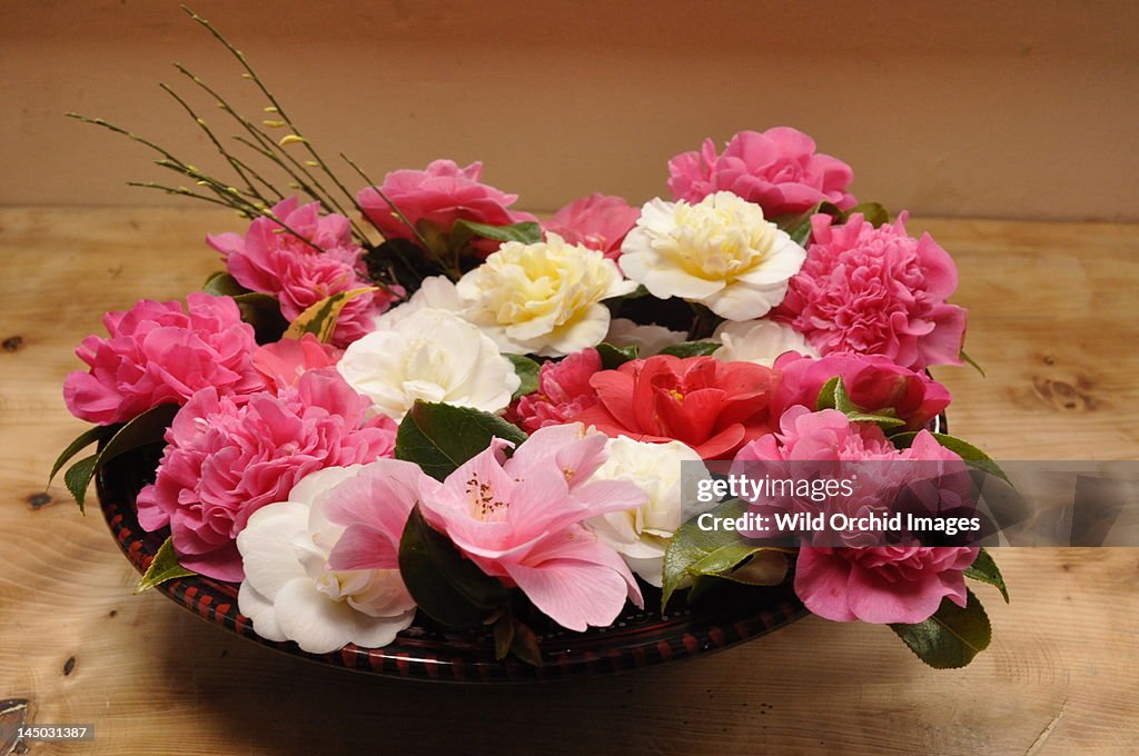 Valentines bowl of Camelias