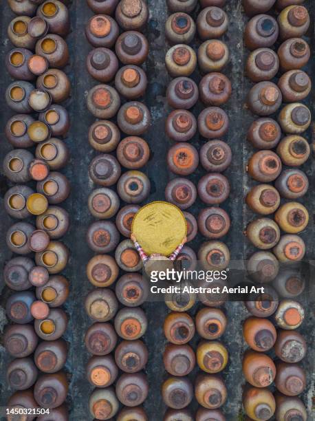 drone image showing a vietnamese woman carrying a large bowl of seeds through rows of pots containing soya sauce, hanoi, vietnam - holding saucepan stock pictures, royalty-free photos & images