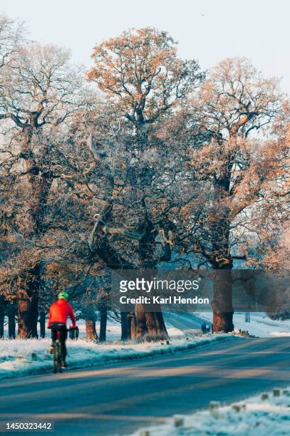 an unrecognisable cyclist in a frosty london park - richmond upon thames imagens e fotografias de stock