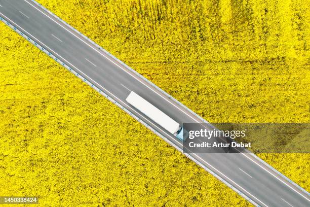 creative aerial overhead view of a semi truck driving between canola fields used for biodiesel. - big flower background stock-fotos und bilder