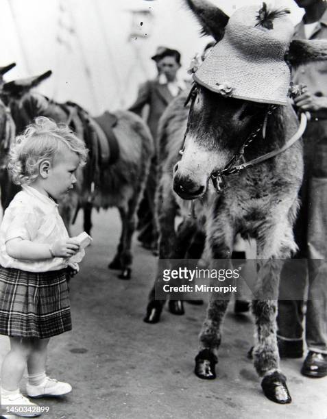 Month old Evelyn McAdam with Molly the donkey on the South Bank, London, for the Festival of Britain. 19th July 1951.