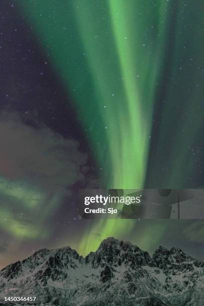 Northern Lights, Aurora Borealis over the Lofoten Islands in Northern ...