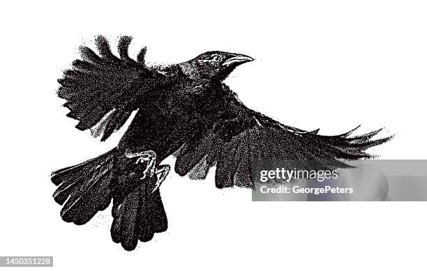 raven flying with blurred motion - crow 幅插畫檔、美工圖案、卡通及圖標