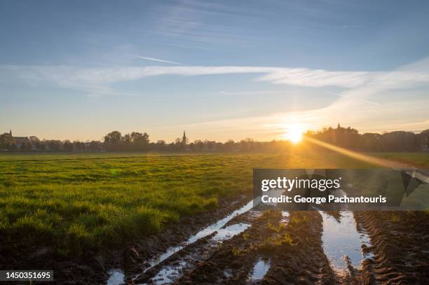 sunset over agricultural fields - weather stock pictures, royalty-free photos & images