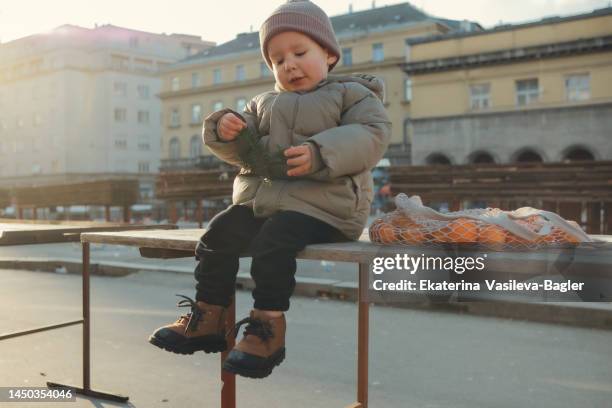 portrait of a sitting child on a walk with a branch of a christmas tree in his hand and a net with tangerines - zagreb food stock pictures, royalty-free photos & images