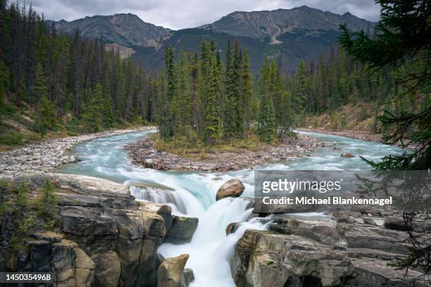 sunwapta falls - jasper - canada - columbia icefield stock pictures, royalty-free photos & images