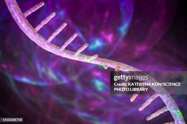 molecule of mrna, illustration - rna stock illustrations