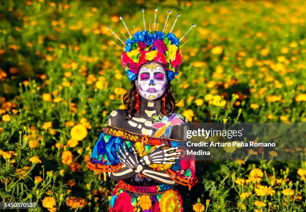 catrina dans un champ de fleurs de cempasúchil profitant des rayons du soleil - état du michoacan photos et images de collection