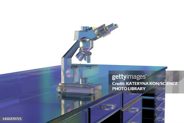 Microscope Light Table 1,283 Micro Table Stock Photos, High-Res Pictures, and Images - Getty ...