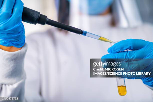 researcher pipetting a sample - weapon stock pictures, royalty-free photos & images