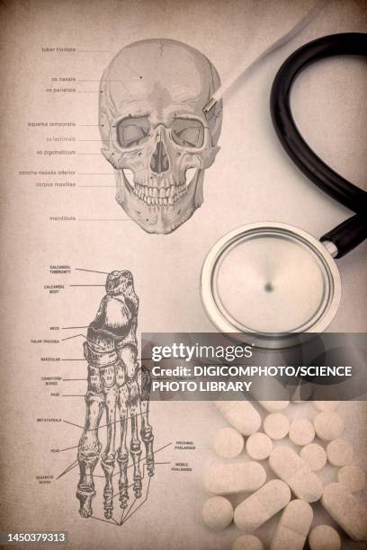 medicine, conceptual image - animal rib cage stock pictures, royalty-free photos & images